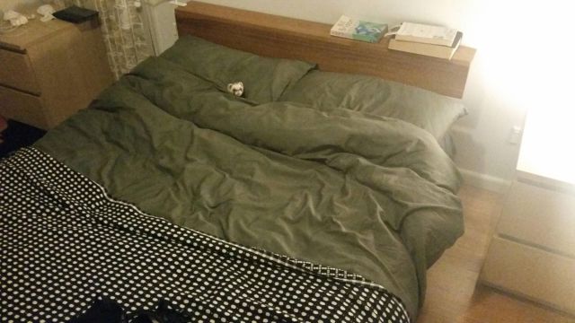 Прикольные картинки (108 фото)