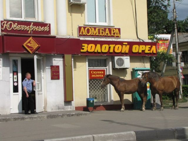Прикольные картинки (108 фото)
