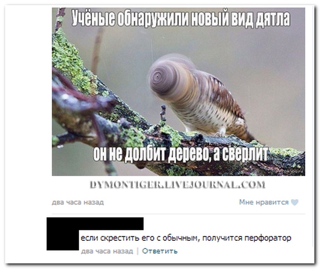 Смешные комментарии из социальных сетей (30 фото)