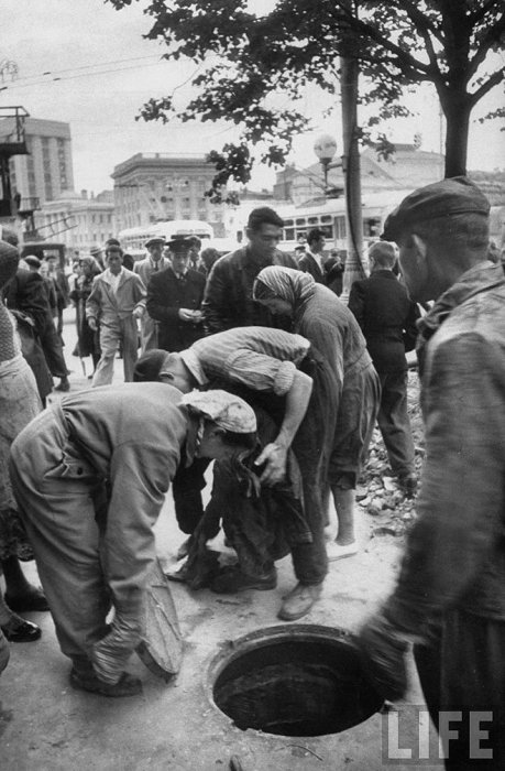 Москвички в 1956 году (52 фото)