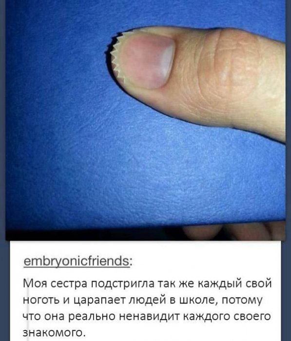 Прикольные картинки (97 фото)