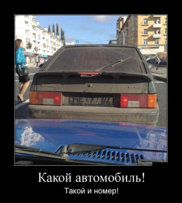 Демотиваторы (30 фото)