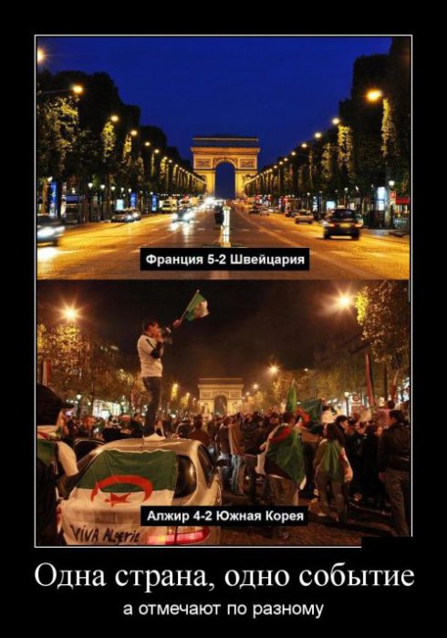 Демотиваторы (30 фото)