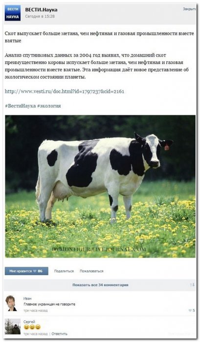 Смешные комментарии из социальных сетей (30 фото)
