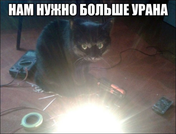 Прикольные картинки (96 фото)