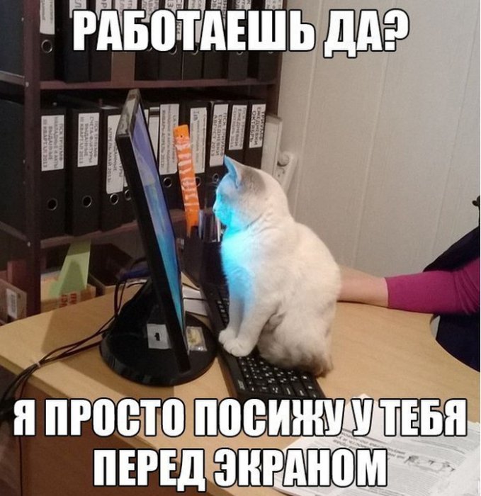 Прикольные картинки (75 фото)