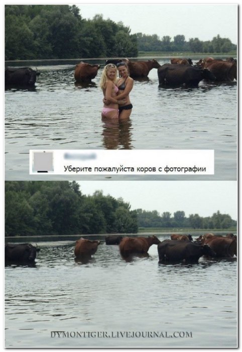 Смешные комментарии из социальных сетей (30 фото)