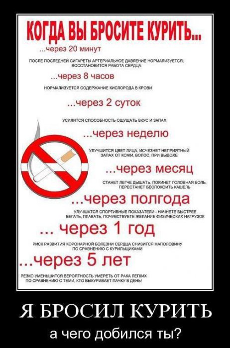 Прикольные картинки (92 фото)