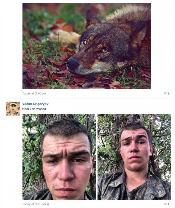Российский боец проболтался
