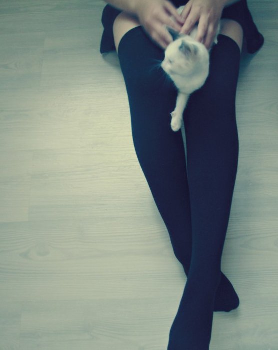 Knee Socks