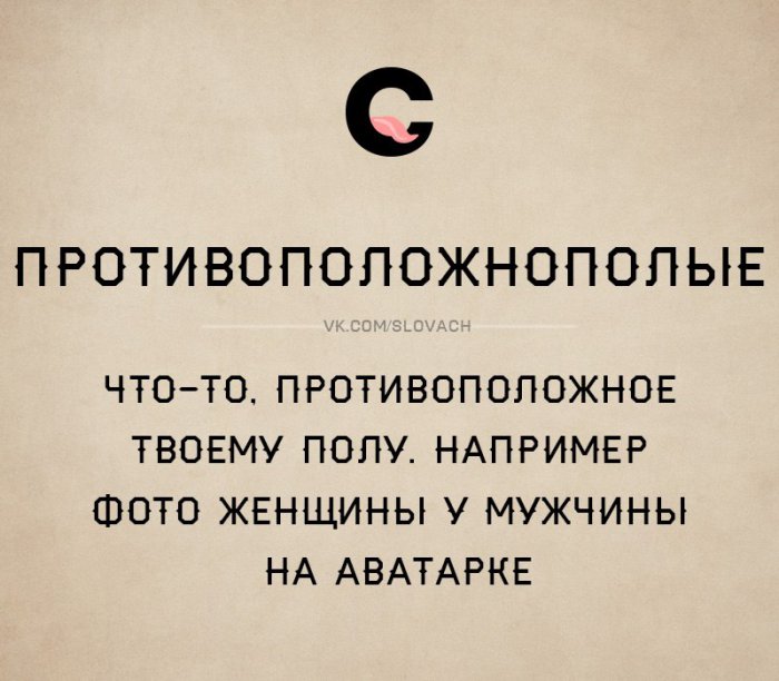 Словач (30 фото)