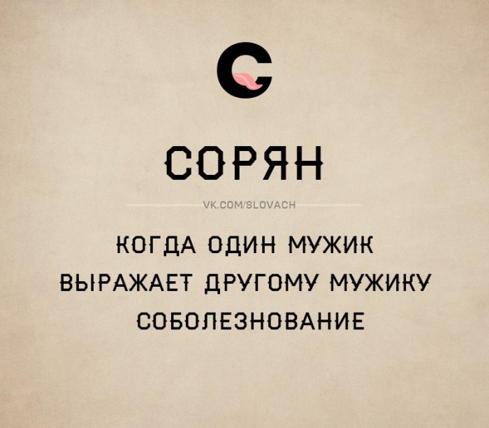 Словач (30 фото)