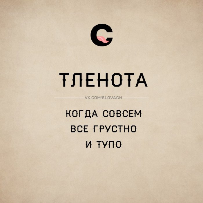 Словач (30 фото)