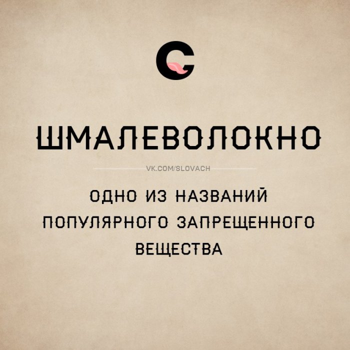 Словач (30 фото)