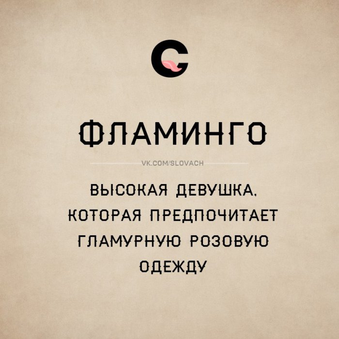 Словач (30 фото)