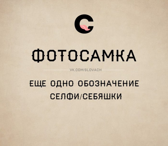 Словач (30 фото)