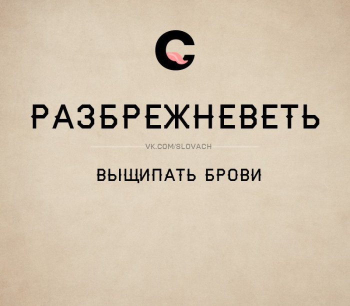 Словач (30 фото)