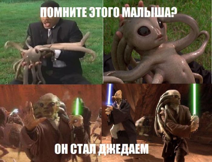Забавные картинки