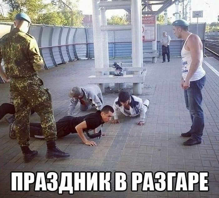 Забавные картинки