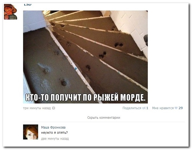 Смешные комментарии из социальных сетей (40 фото)