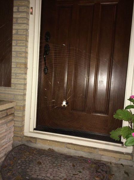 Прикольные картинки (77 фото)