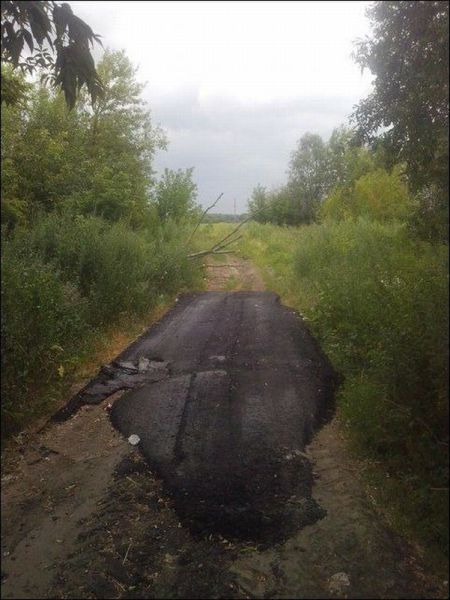 Прикольные картинки (77 фото)