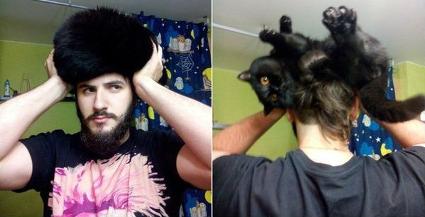 Забавные картинки