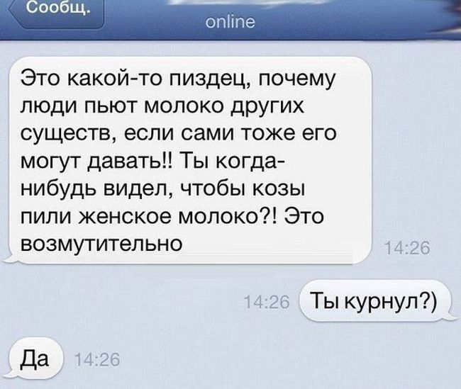 Забавные картинки