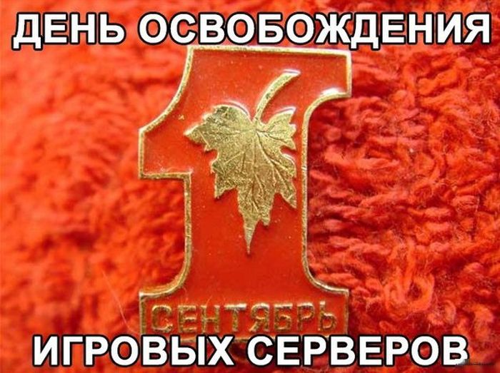 Забавные картинки