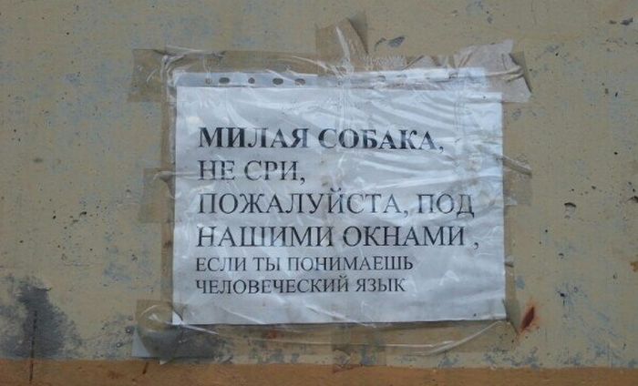 Забавные картинки