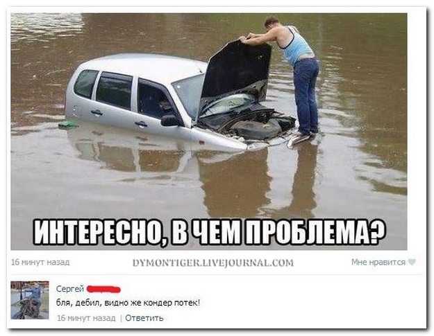 Смешные комментарии из социальных сетей (30 фото)