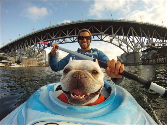 Лучшие кадры, сделанные камерой GoPro