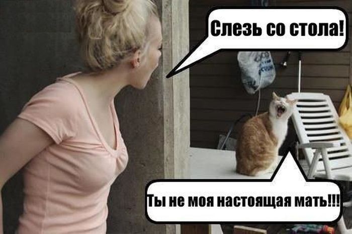 Забавные картинки