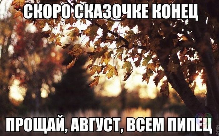 Прикольные картинки (46 фото)