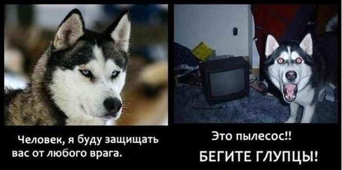 Прикольные картинки (46 фото)