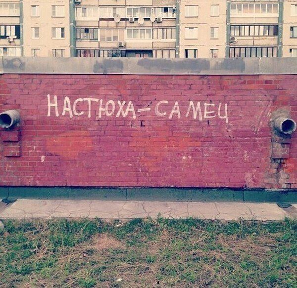 Прикольные картинки (46 фото)