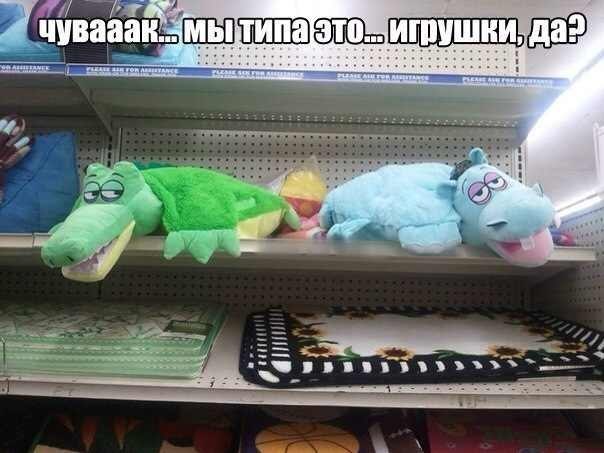 Забавные картинки