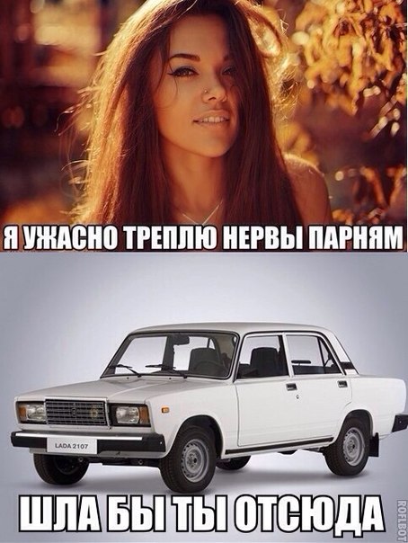 Забавные картинки