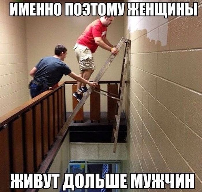 Прикольные картинки (61 фото)