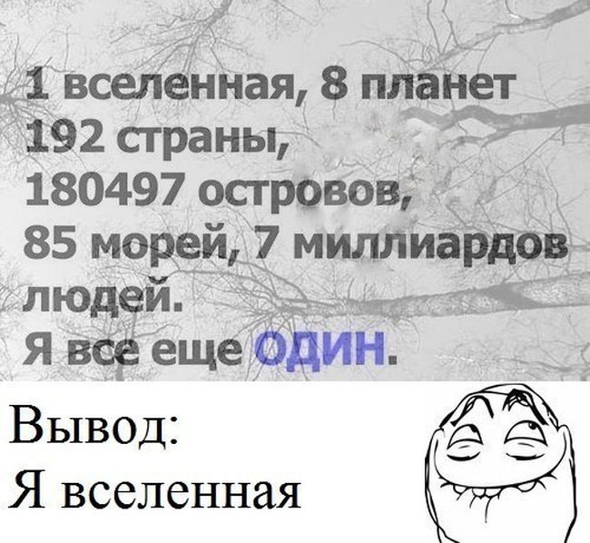 Забавные картинки
