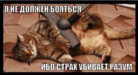 Подборка картинок из соцсетей