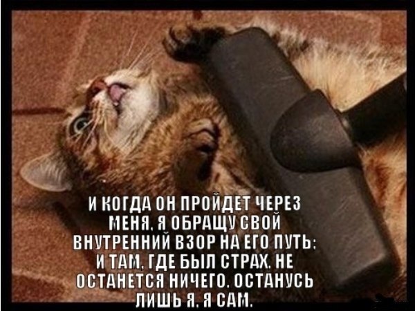 Подборка картинок из соцсетей