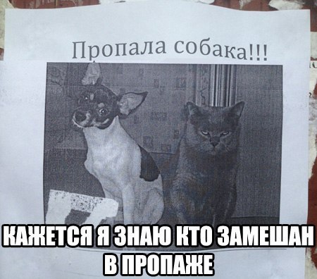 Подборка картинок из соцсетей