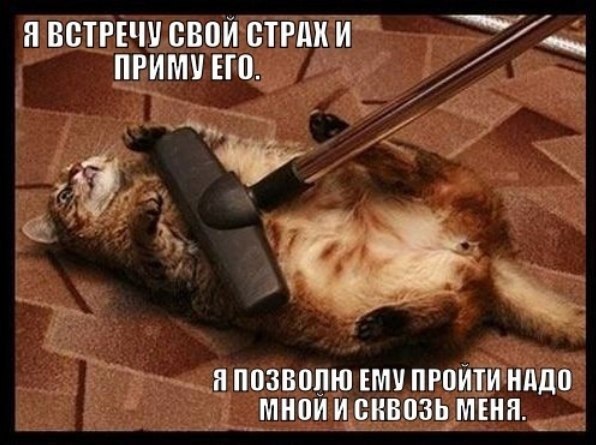 Подборка картинок из соцсетей