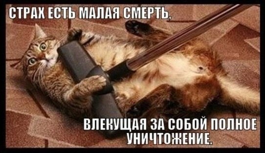 Подборка картинок из соцсетей