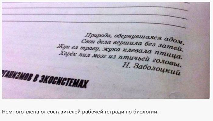 Идиотизмы и странные задания в школьных учебниках