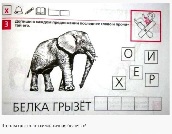 Идиотизмы и странные задания в школьных учебниках