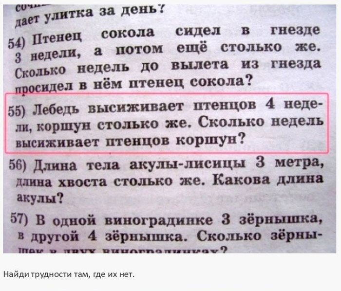 Идиотизмы и странные задания в школьных учебниках