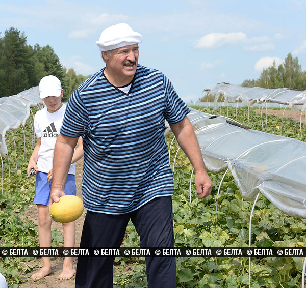 Лукашенко в колпаке и босоногий мальчик собрали урожай арбузов