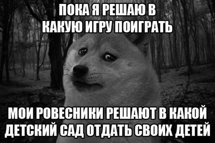 Забавные картинки